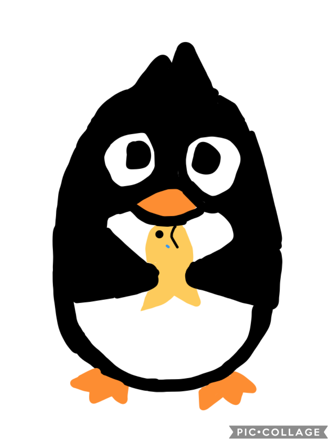Penguin eating goldfish