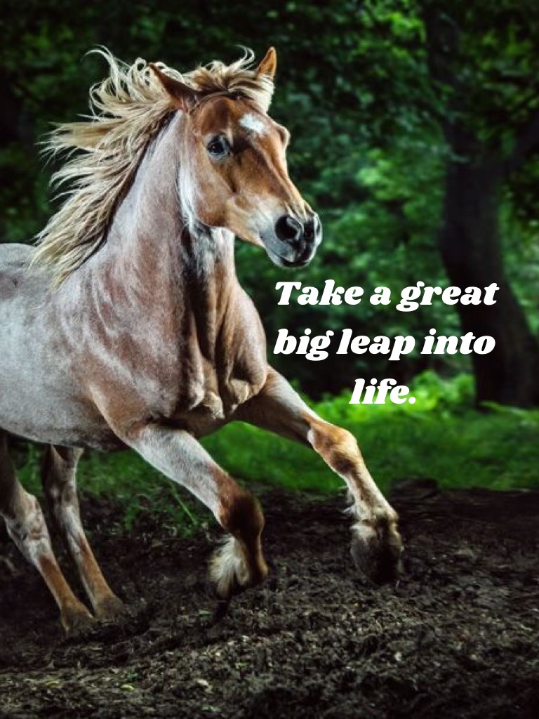 Like this post if you like horses