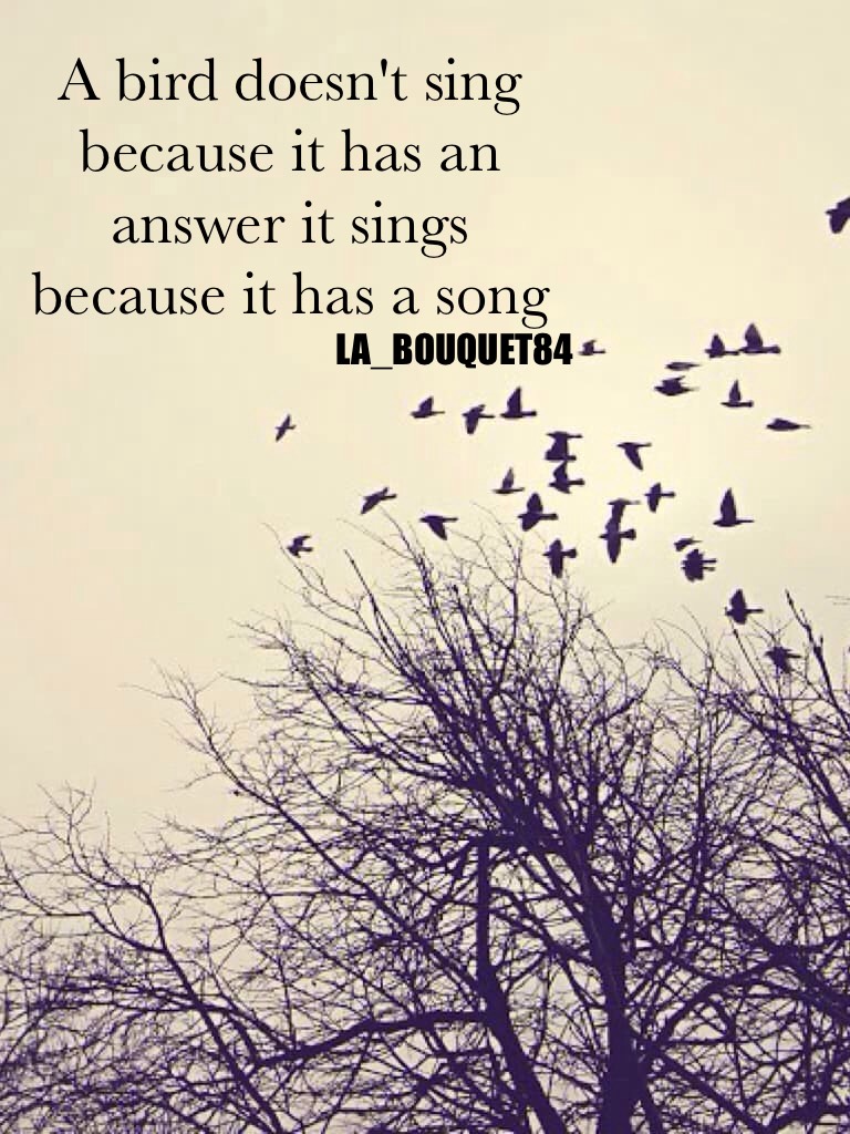 A bird doesn't sing because it has an answer it sings because it has a song