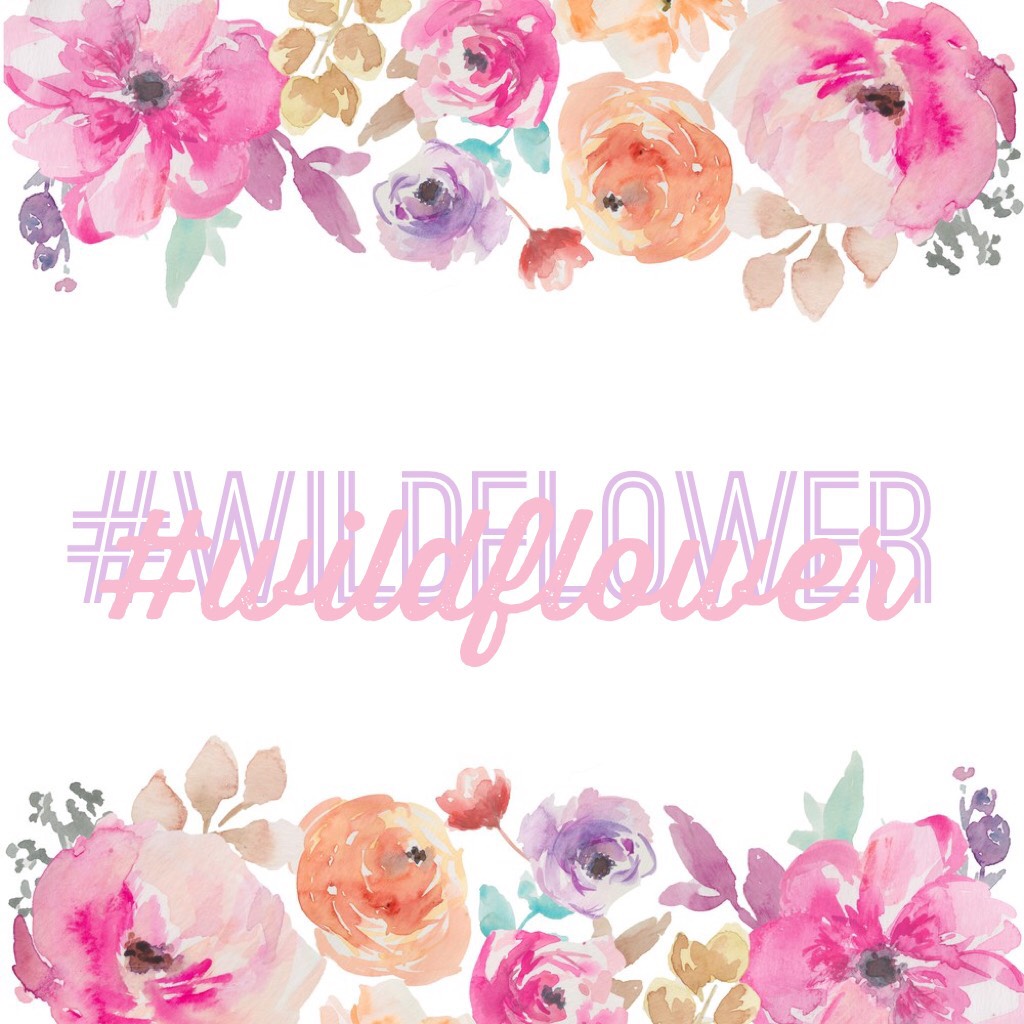 🌷
#wildflower