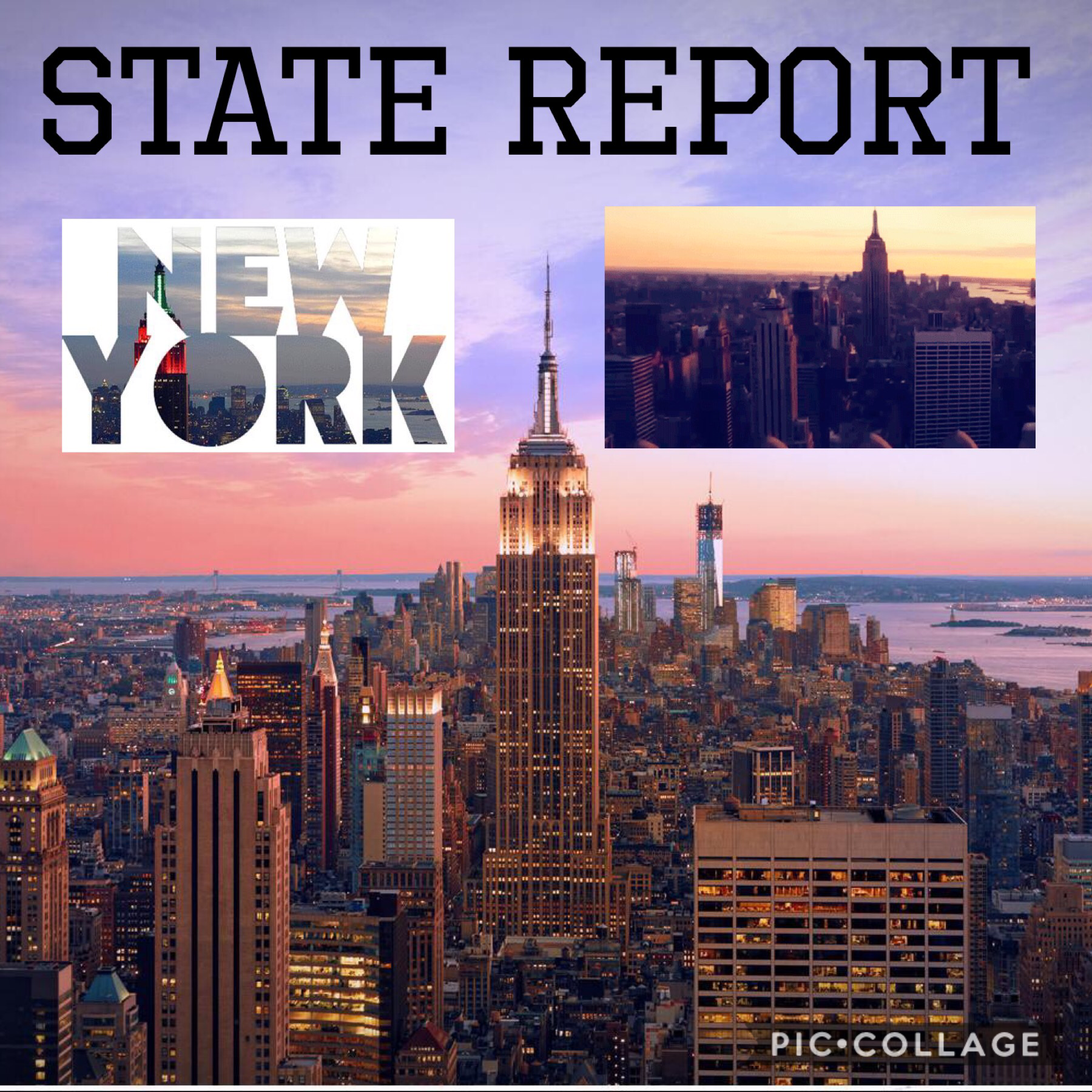 State report new york