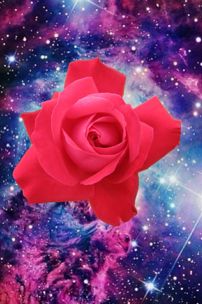 Flower in the universe 