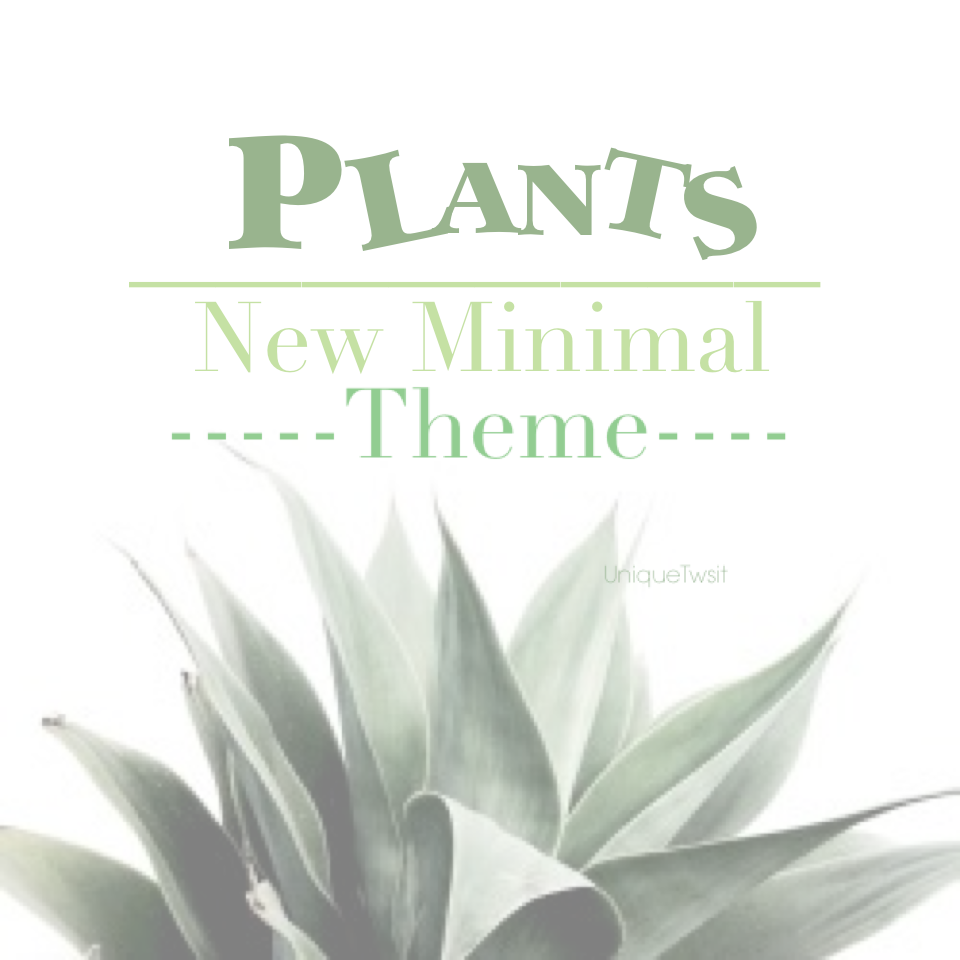 Starting Minimal theme: plants! Tomorrow 😌🌿🍀🌵