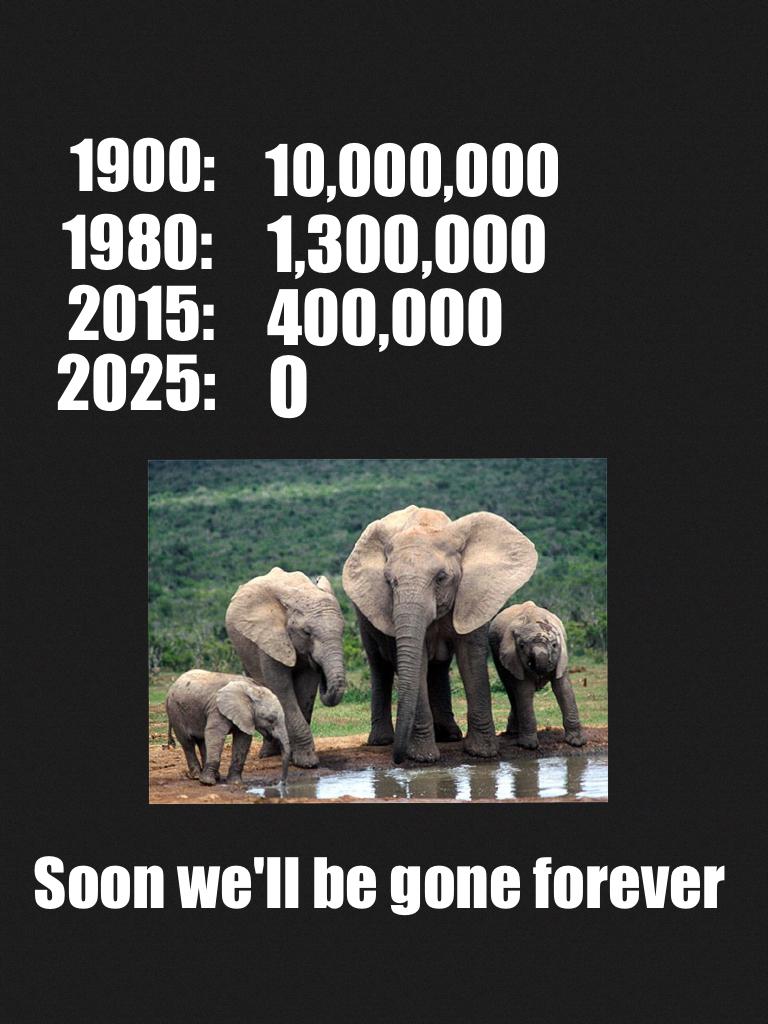 Elephants: soon to be extinct! 🐘💞