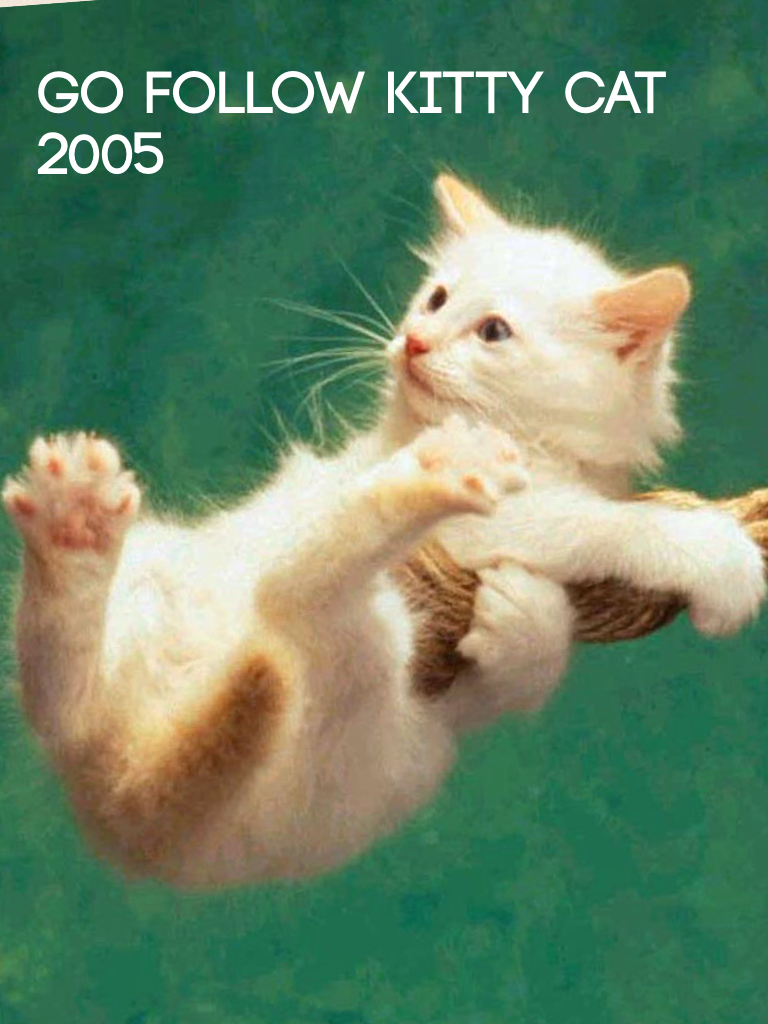 Go follow kitty cat 2005