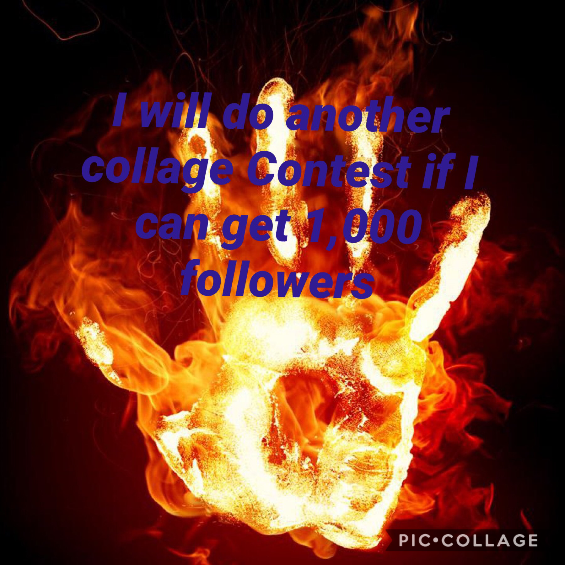 Collage Contest at 1,000 followers 
