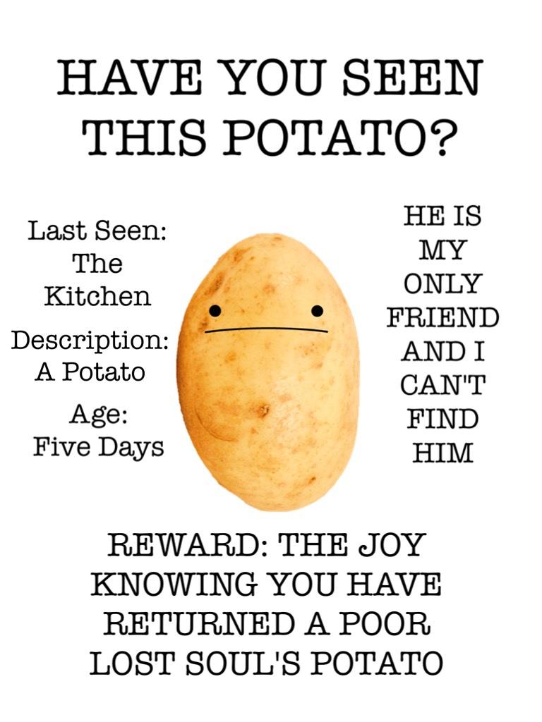 HAVE YOU SEEN THIS POTATO?