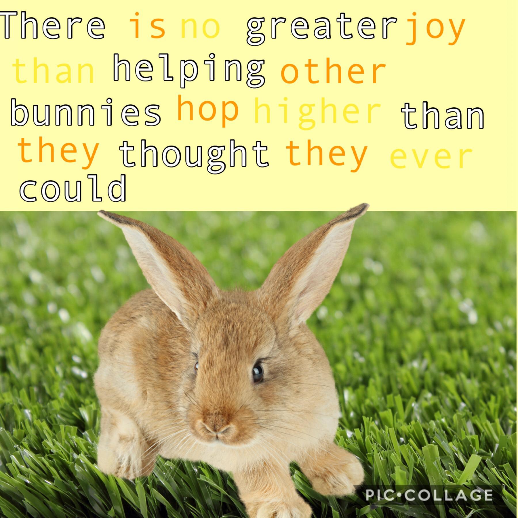 There is no greater joy than helping other bunnies hop higher than they thought they ever could!🐰