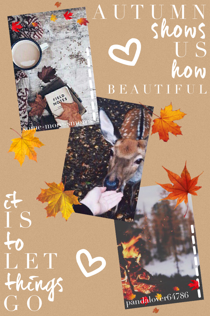 Collab with the awesome pandalover64786 ☺️ follow her if you aren't already! I'm absolutely in love with how this turned outtt! 🍁
