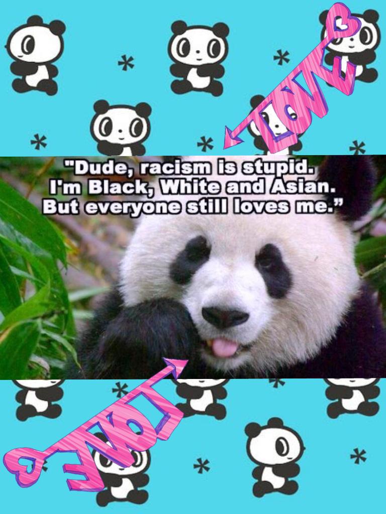 Revolutionary panda