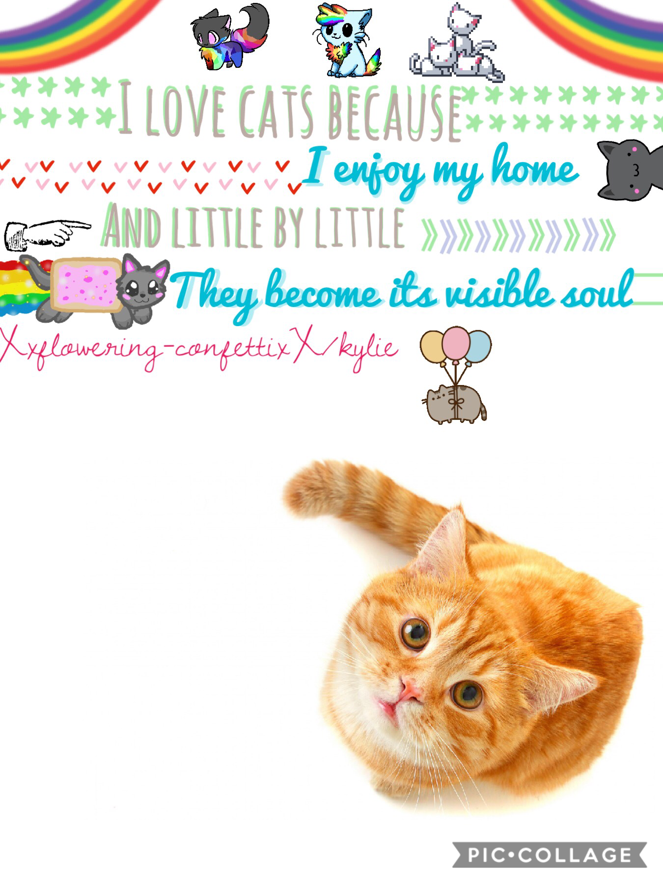 🐱Tapp!!🐱
I’m trying something different....I changed some stuff on SELFL0VE and it was for a 
Cat lover. I wanted to post this because it is something to keep me going! My goal is to have at least 1 JUST 1 feature! Help me reach my goal! Please?! Thanks! 