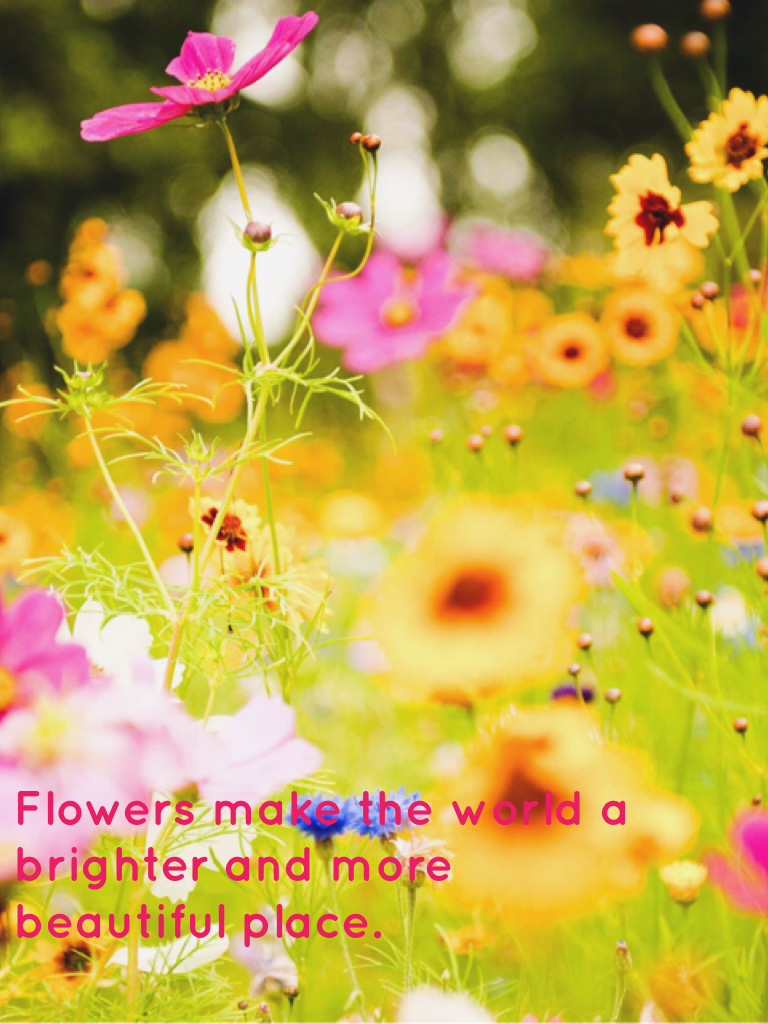 Flowers make the world a brighter and more beautiful place.