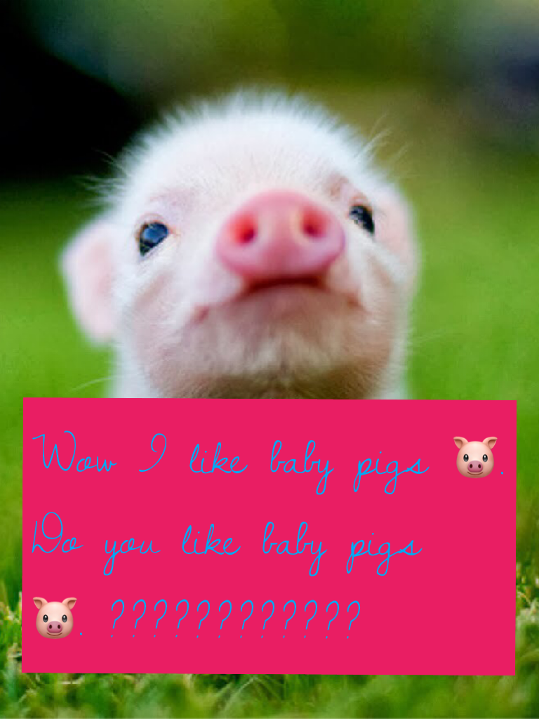 Wow I like baby pigs 🐷. Do you like baby pigs 🐷. ????????????