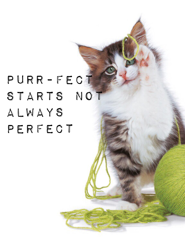 Purr-fect starts not always perfect