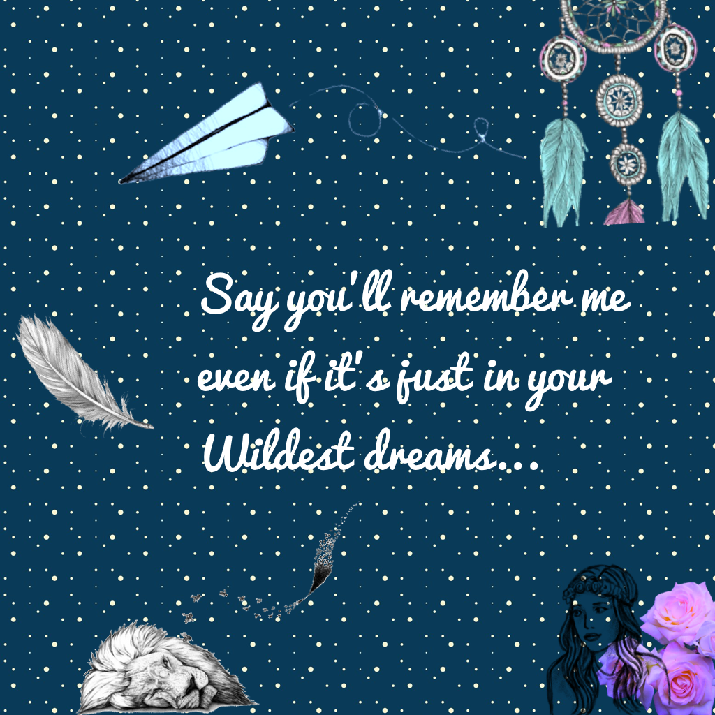 Say you'll remember me even if it's just in your Wildest dreams...