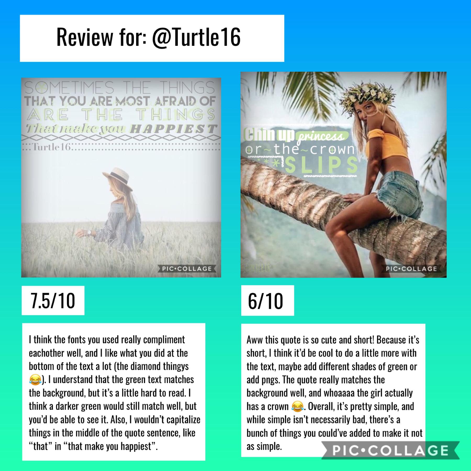 Account review for @Turtle16 💕