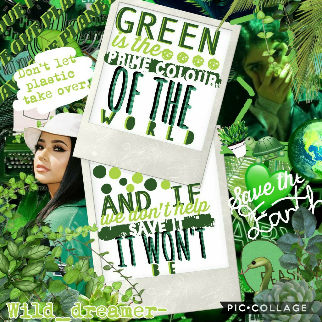    🌱💚SAVE OUR EARTH💚🌱
OK so we need to start saving the world NOW. Not tommorow or next week, NOW. SaVe ThE tUrTlEs.(sksksksk and I oop)
QOTD: whats ur fave color? 
plz REMIX the answer!! tysm!💚🌱