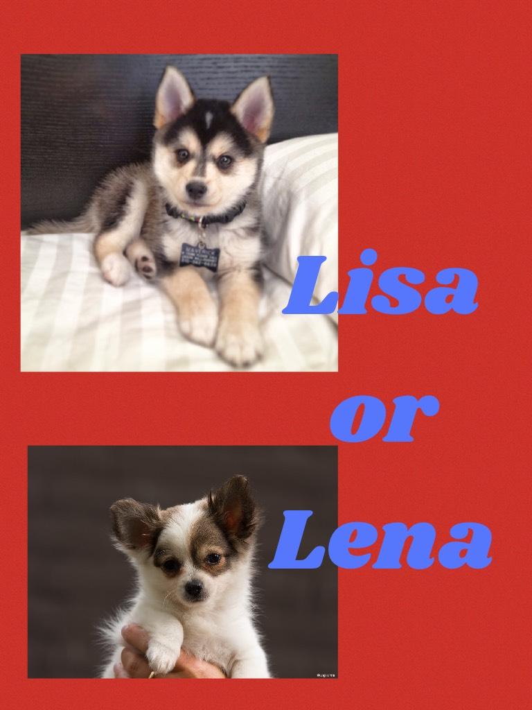 Lisa or Lena ?