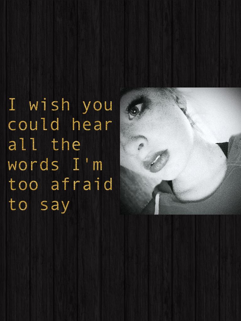 I wish you could hear all the words I'm too afraid to say