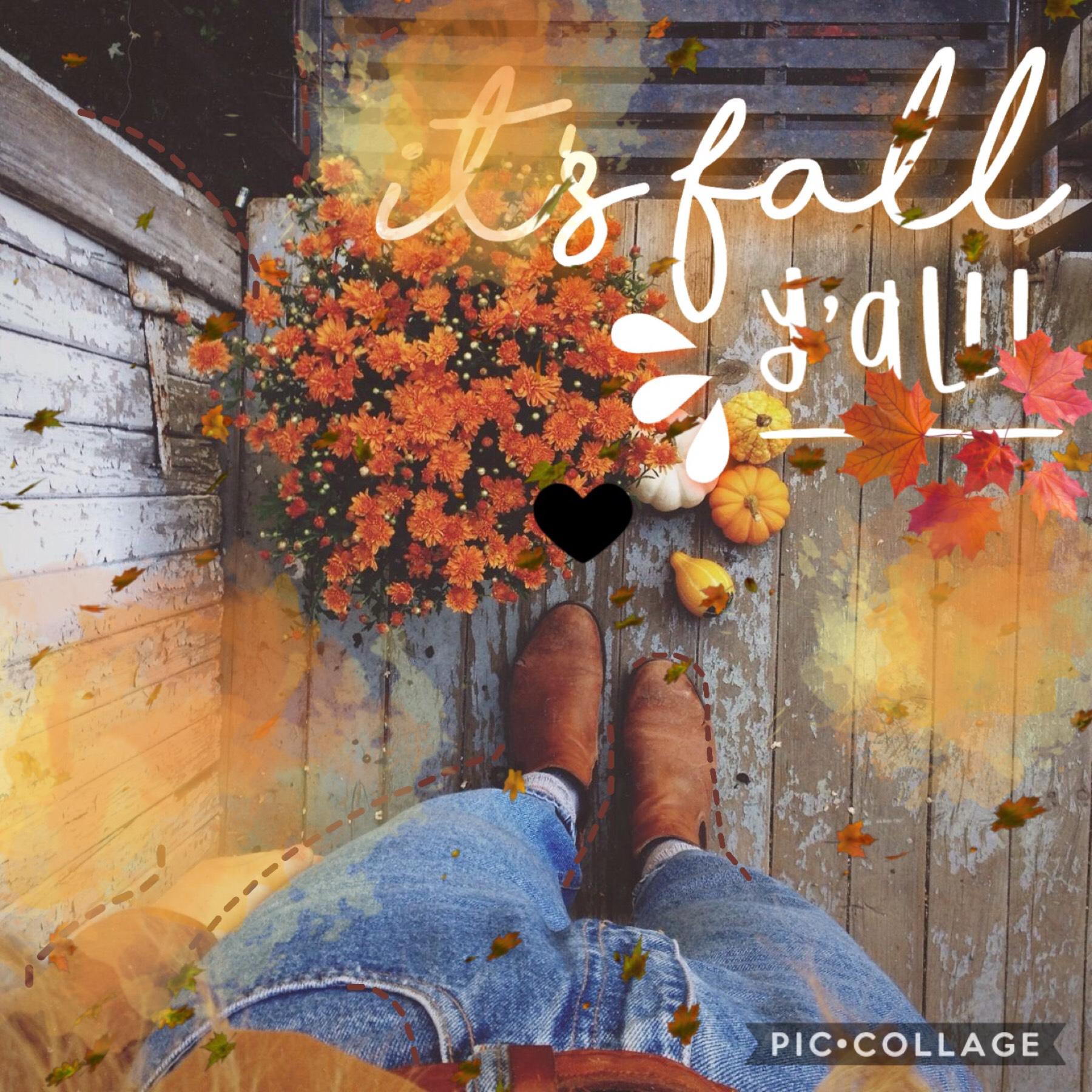 happy fall y’all🍂