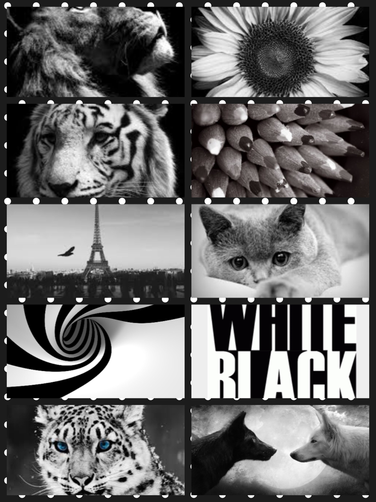Black and White is amazing
