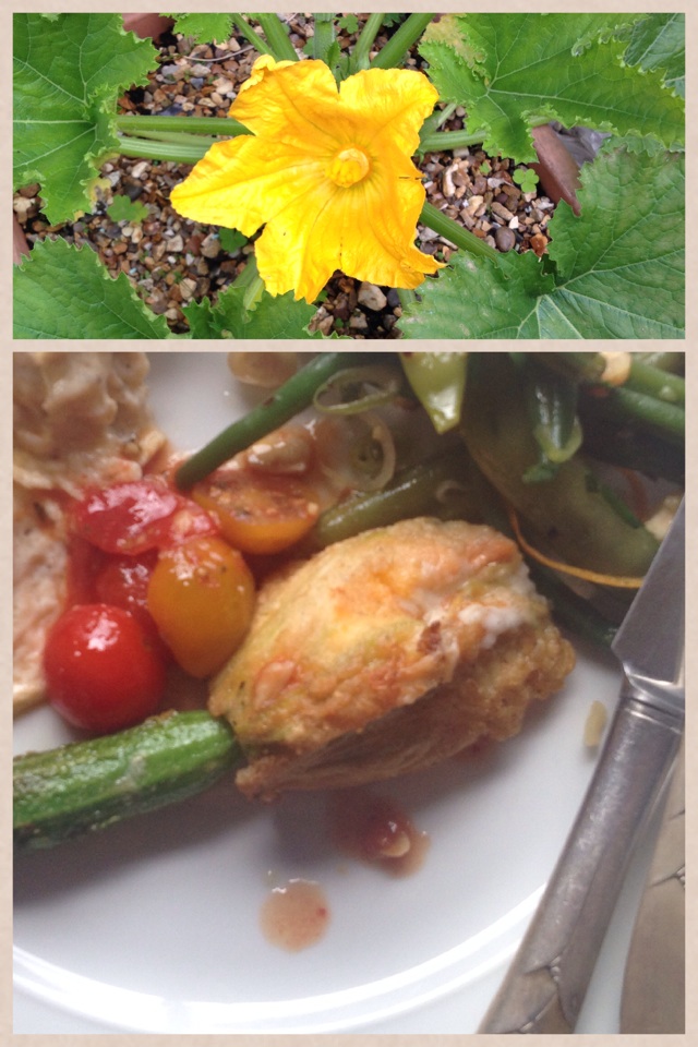 Lunch. Courgette flower stuffed w goats cheese & grana padano - egg, flour, fried. Happy :)
