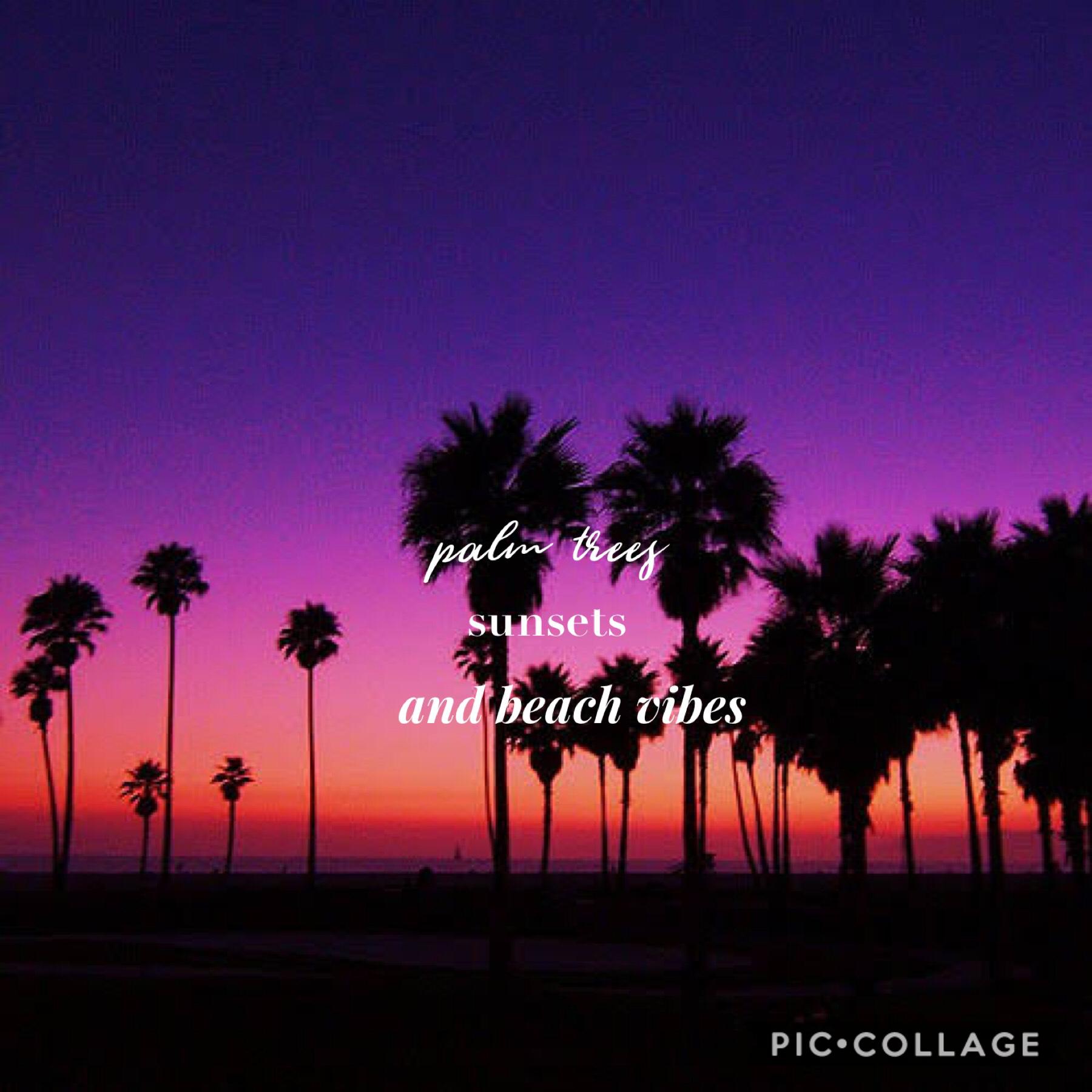 Palm trees sunsets and beach vibes