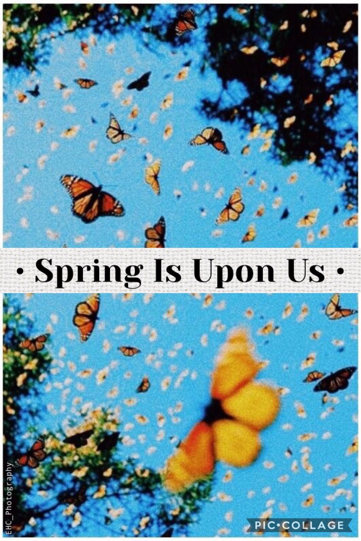 Happy spring guys! 🙃 🦋 🌤 🌲 🧡 I hope we have more warm weather soon, especially for Easter later this month. 🐣 ~ EHC_Photography ~