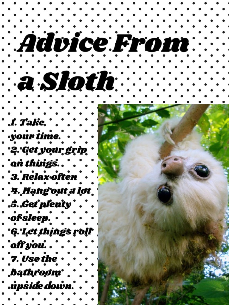Mr. Sloth will teach you advice