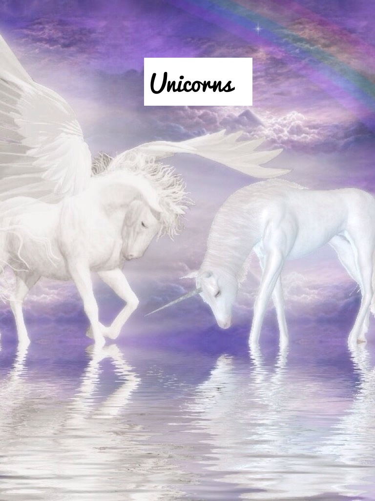 Unicorns 