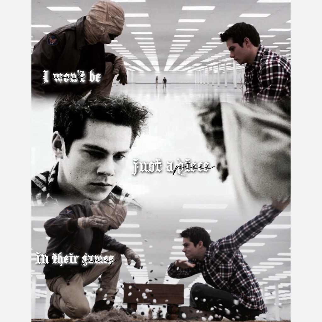 CLICK
This is a crossover between teen wolf and hunger games. I personally loved season 3B and I am in love with Void Stiles too. What do you think about it?