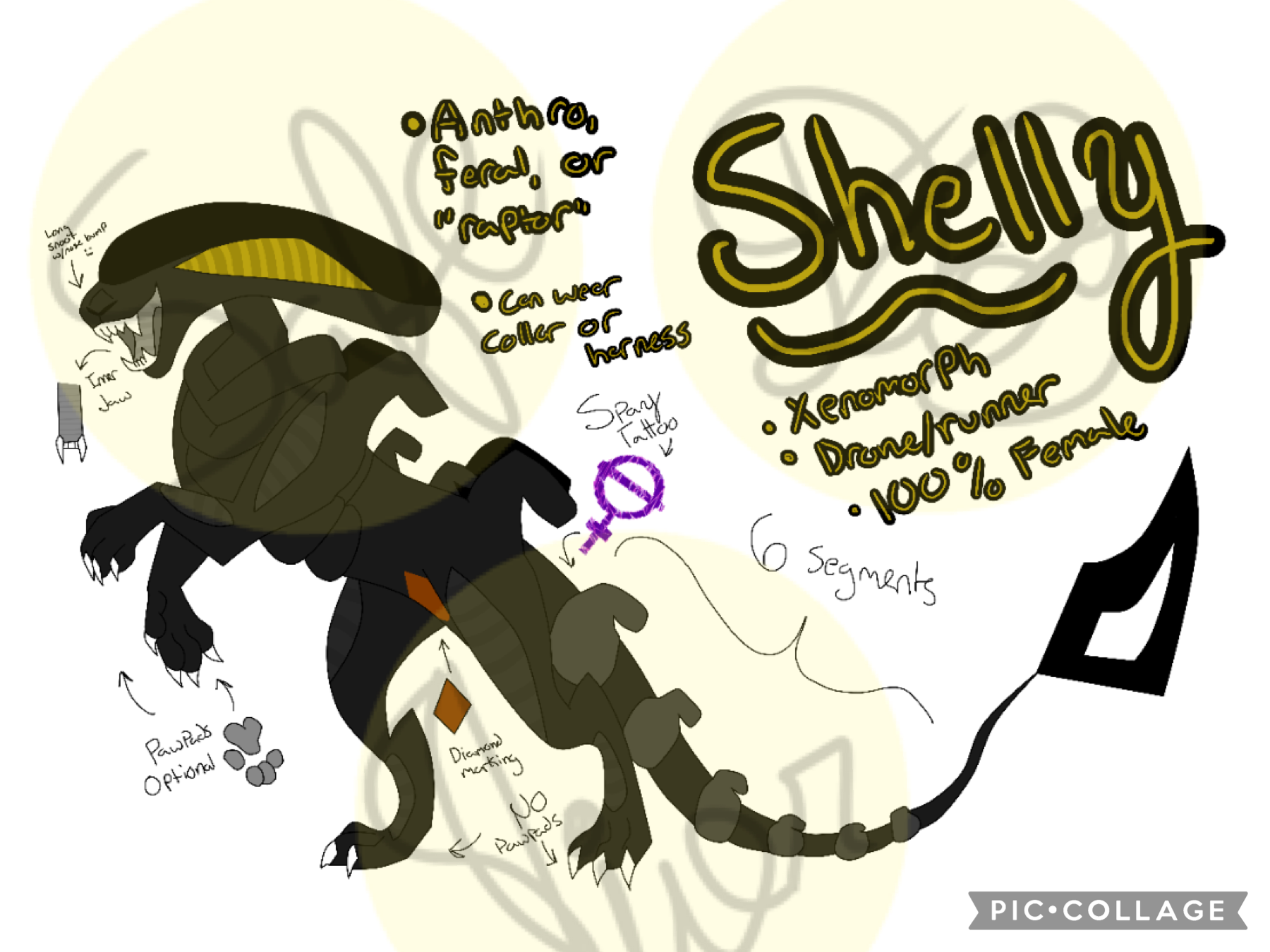 SHELLY’S OFFICIAL REF! 

Aaaaaa I’ve been getting into Alien stuff again and I bought a few comics and it’s rad- 