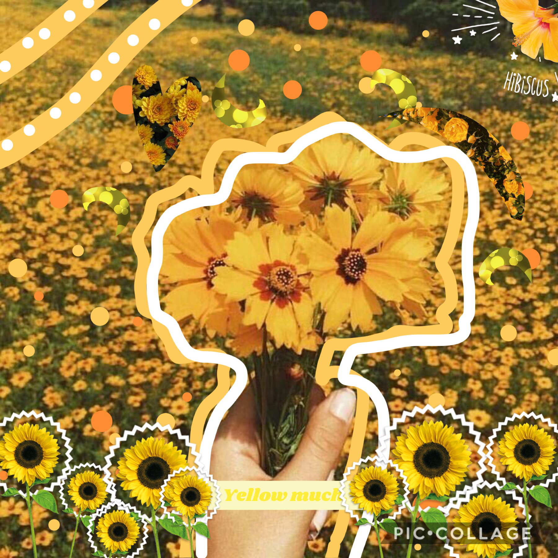 Yellow much💛


🌻If you found this type “Sunflowers support Sunflowers”🌻