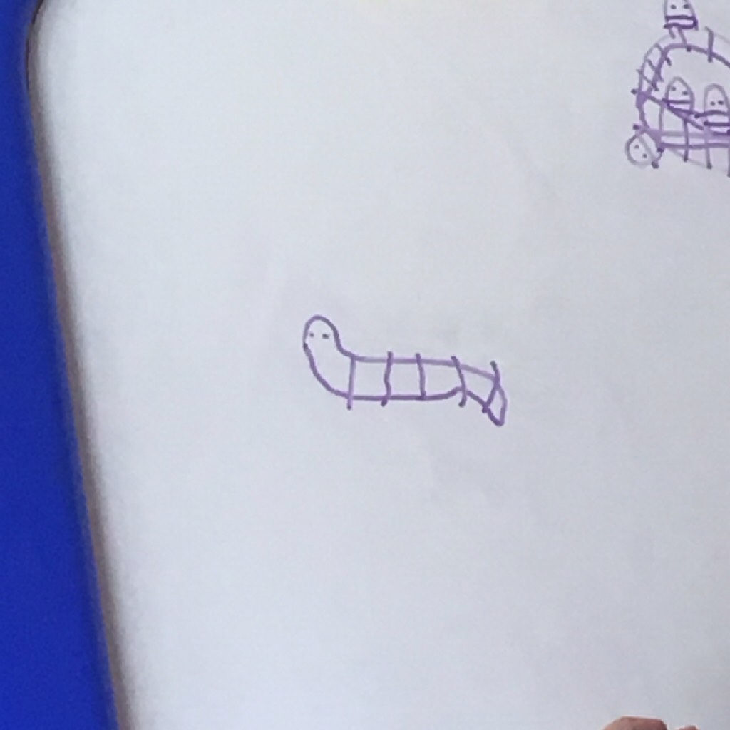 also, enjoy this picture of a worm my 7 year old little sister drew. and yes, that is a basket full of worms in the top right hand corner