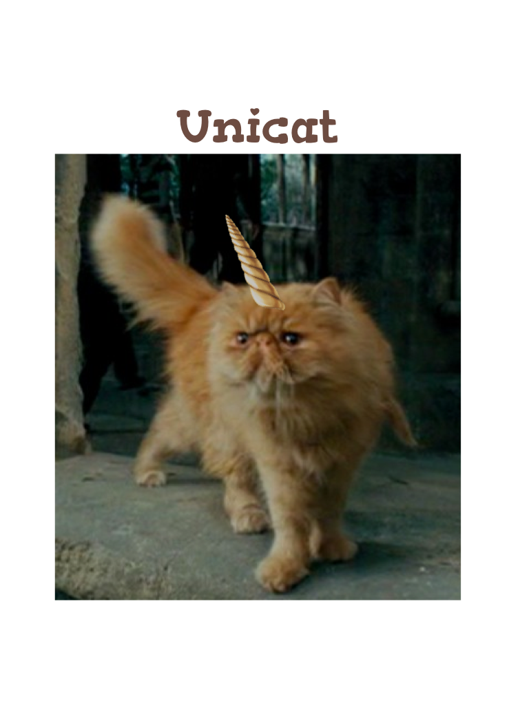Unicat(This is Crookshanks.)