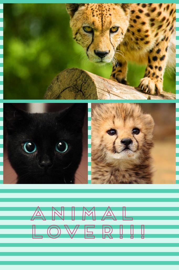 Animal lover!!!