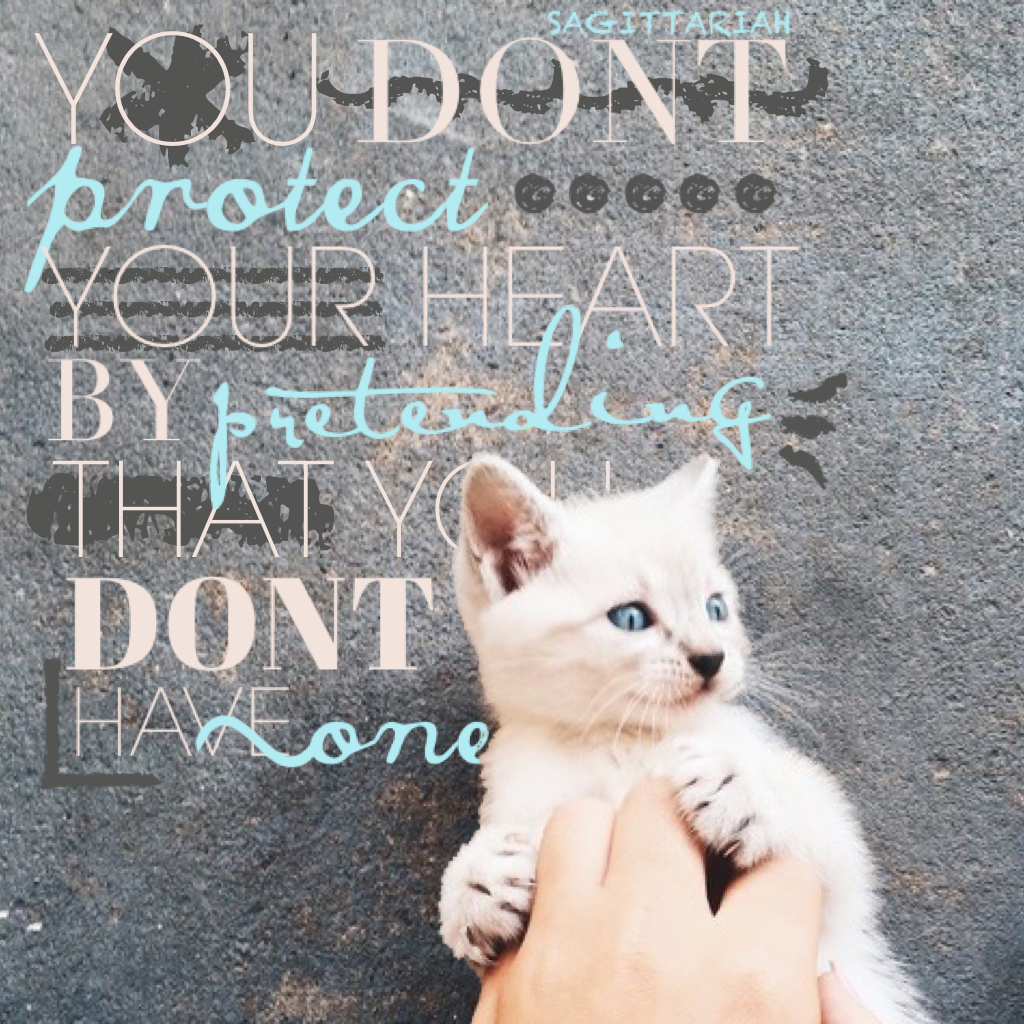 click for kittens
🐱🐱🐱🐱🐱
I really really love this edit! I don't know if it's the kitten, the quote, or what. What do you think? Oh! It's my kittens bday! Love you Cora❤️🐾