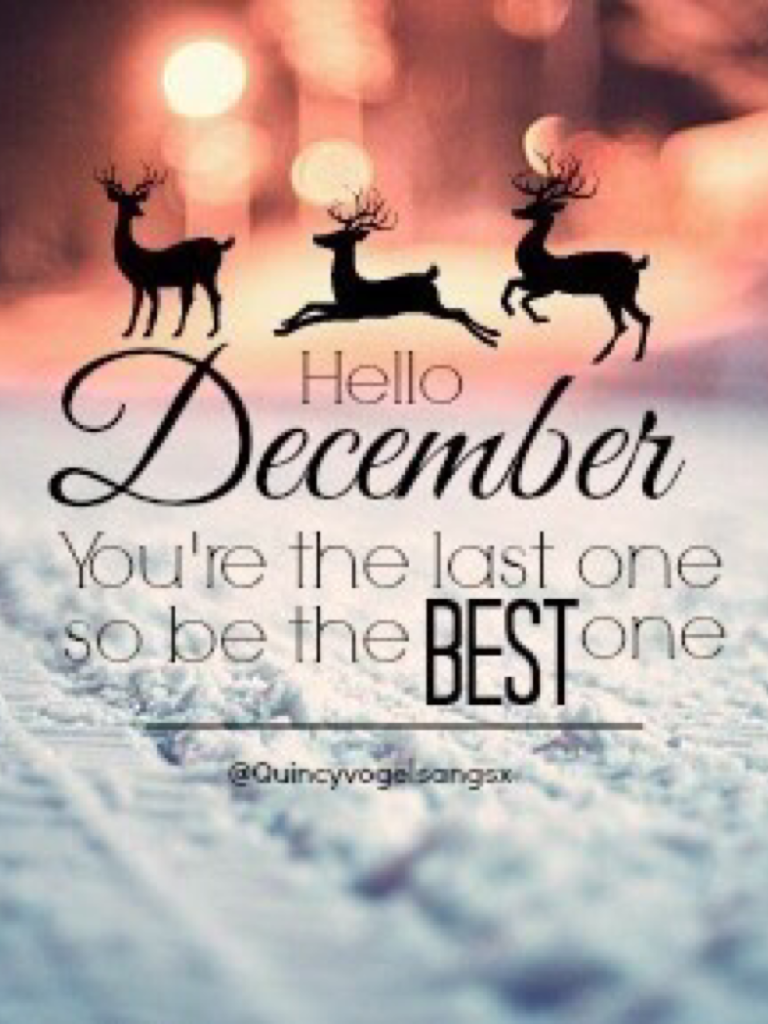 HELLO DECEMBER!!🎄