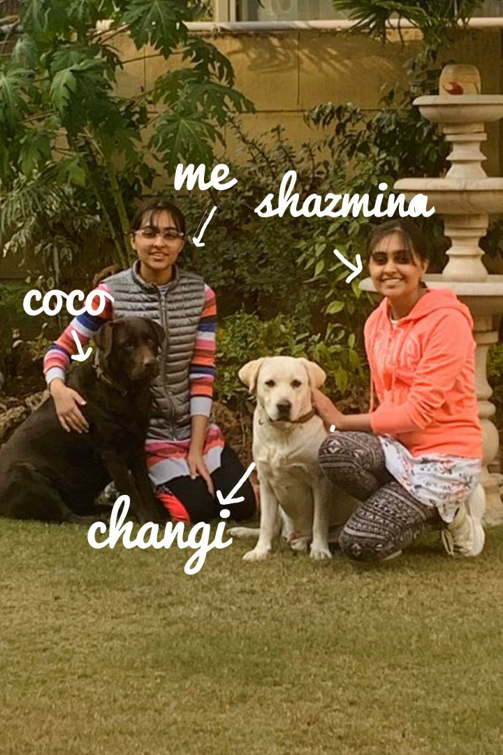 tap🐶🐶
coco is 2 years old
changi is 1 years old
me and twin are 13
go follow are shazmina99