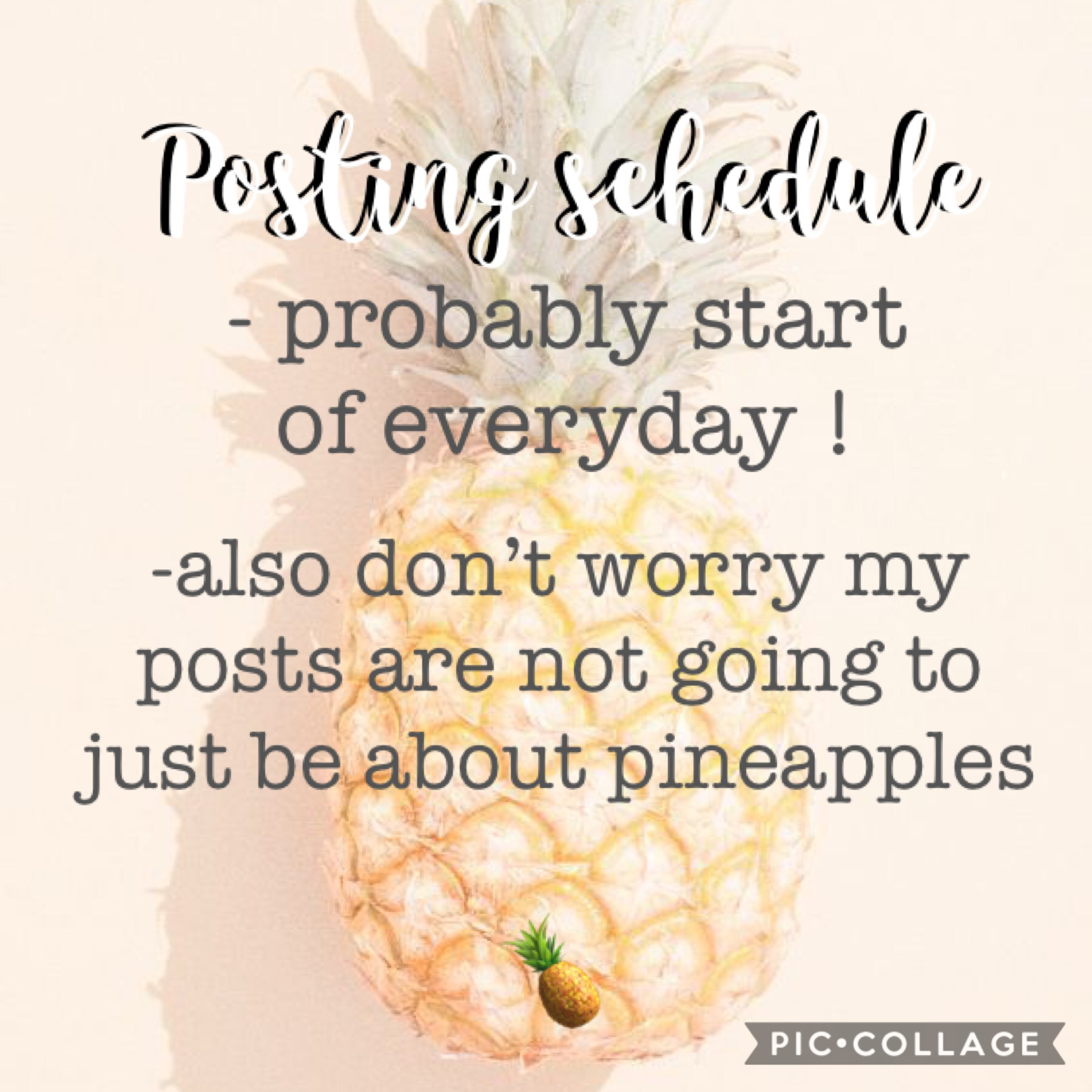 This will be my posting schedule for a while ! I will post when and if it changes ~🍍