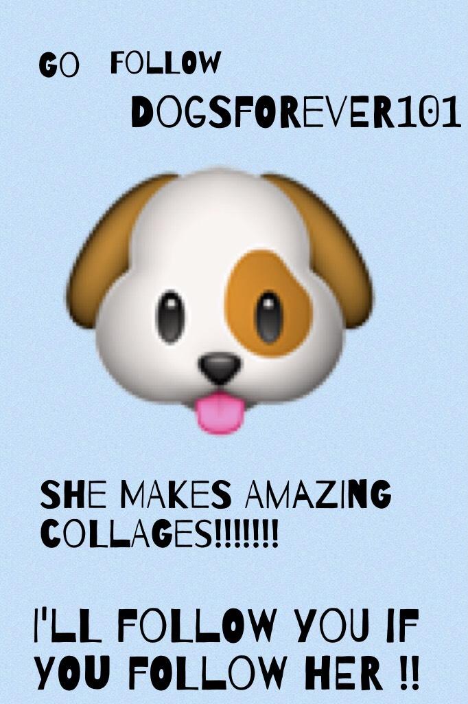 Go follow Dogs_forever101 !! Comment when you have followed her and I will follow you !! 