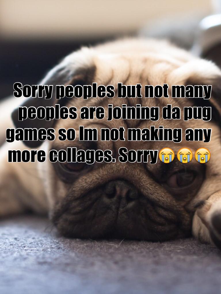 Sorry peoples but not many peoples are joining da pug games so Im not making any more collages. Sorry😭😭😭