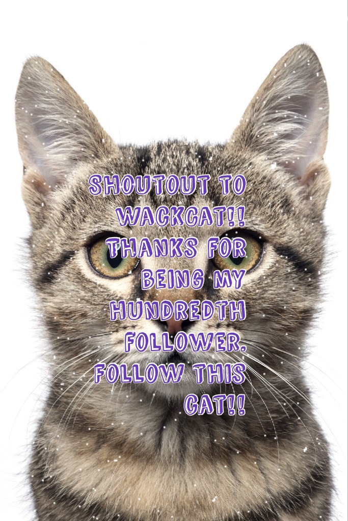 Shoutout to wackCat!! Thanks for being my hundredth follower. Follow this cat!!
