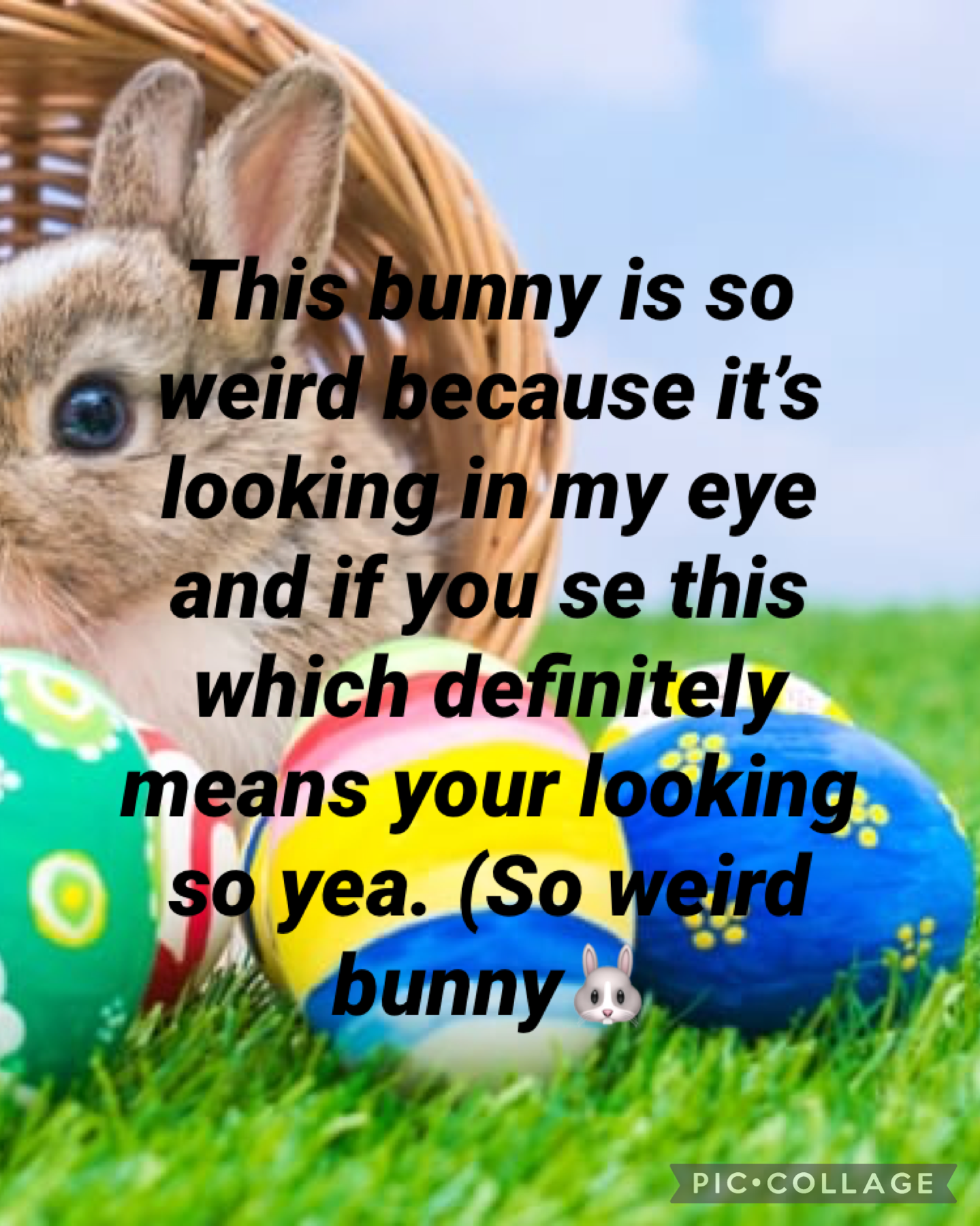 Easter bunny’s are so weird