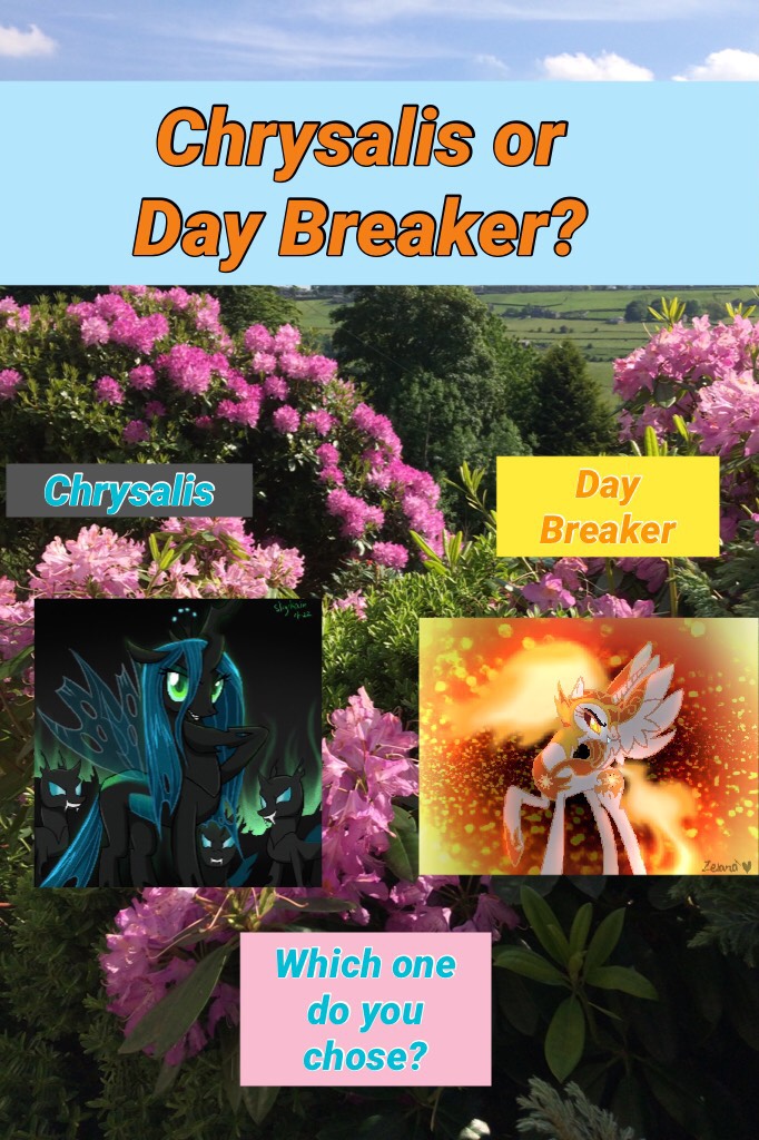 Chrysalis or Day Breaker?