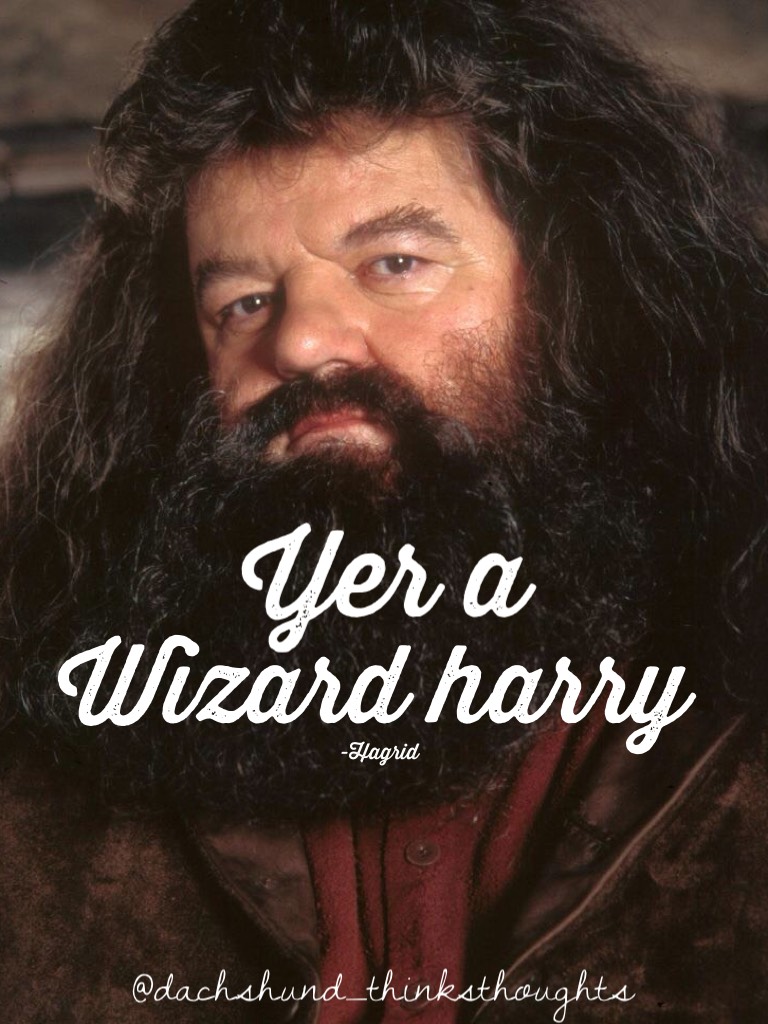 Hagrid is awesome YAYAYAYYAYAY