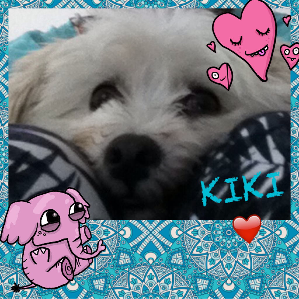 KIKI ❤️

She is my dog!🐶
