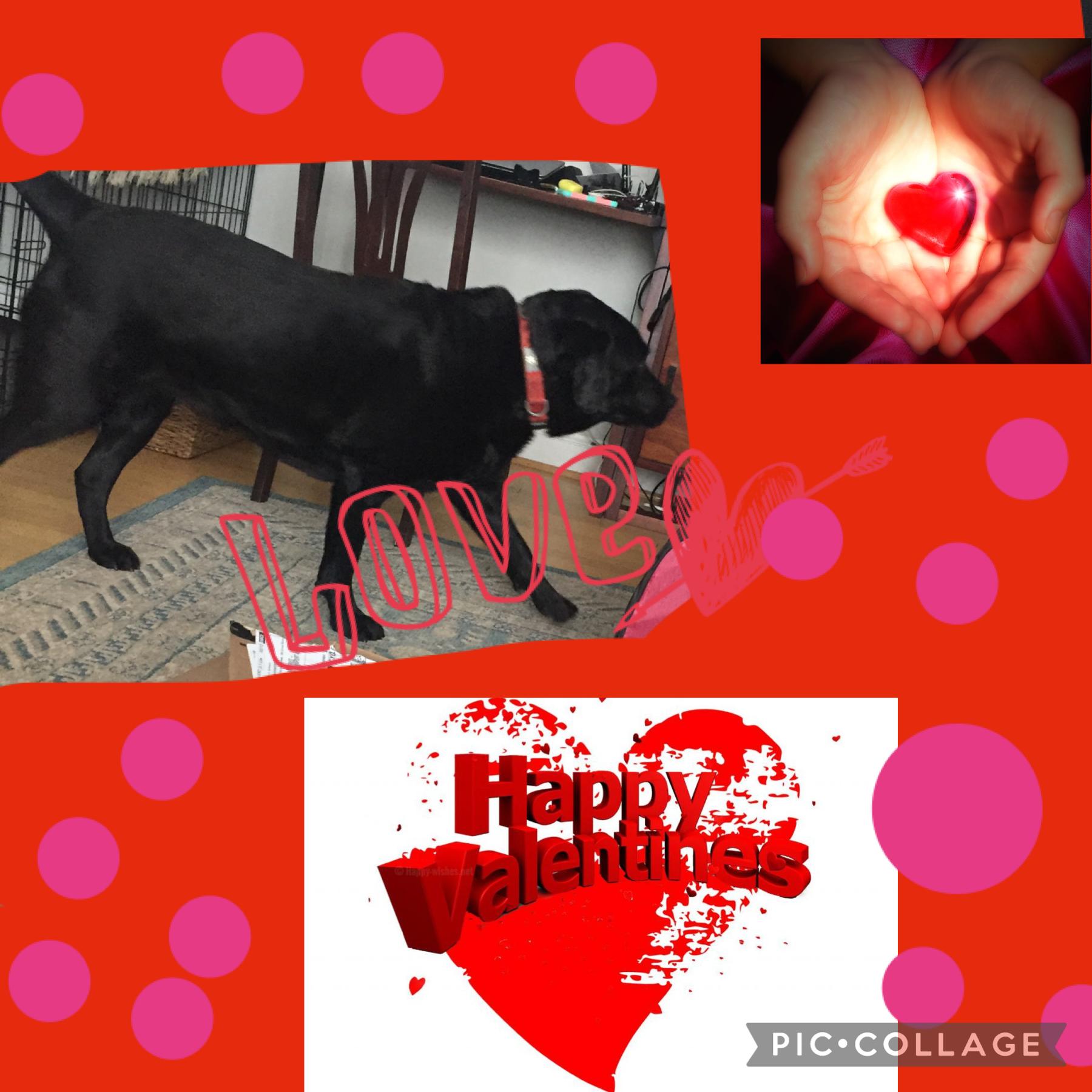 A Valentine’s Day edit of my dog, Sunny. I can edit your dogs with this theme. Just remix with a pic of your dog( can have background or your house). And I’ll edit it. 