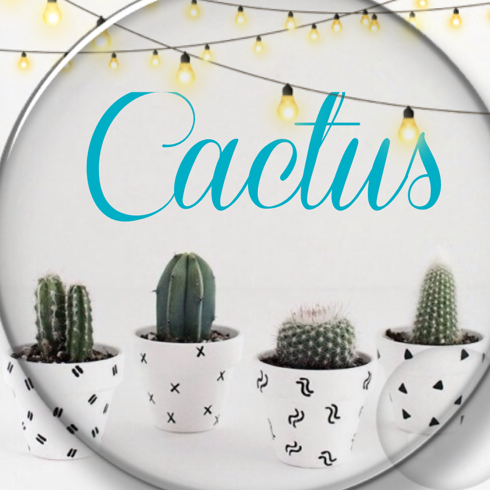 Tap
# cactus
# happy
