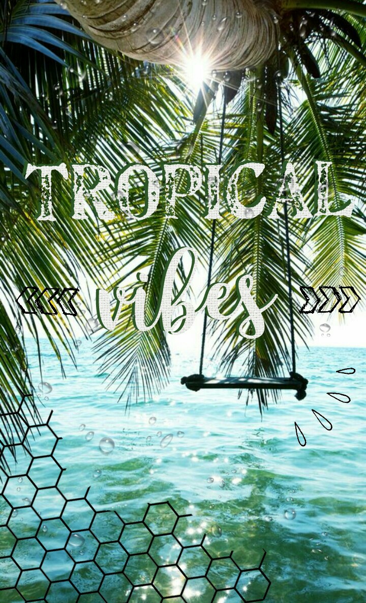 Tropical vibes
Monday, 23 July 2O18
